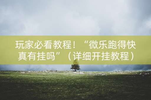 玩家必看教程！“微乐跑得快真有挂吗”（详细开挂教程）-哔哩哔哩