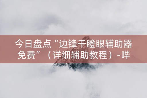 今日盘点“边锋干瞪眼辅助器免费”（详细辅助教程）-哔哩哔哩