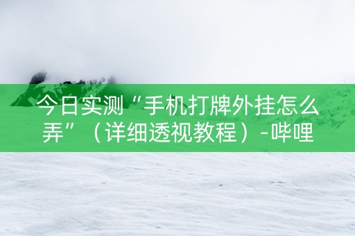 今日实测“手机打牌外挂怎么弄”（详细透视教程）-哔哩哔哩