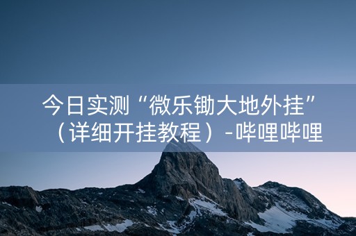 今日实测“微乐锄大地外挂”（详细开挂教程）-哔哩哔哩