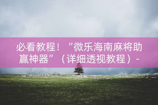 必看教程！“微乐海南麻将助赢神器”（详细透视教程）-哔哩哔哩