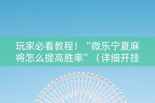 玩家必看教程！“微乐宁夏麻将怎么提高胜率”（详细开挂教程）-哔哩哔哩