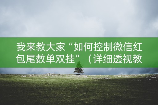 我来教大家“如何控制微信红包尾数单双挂”（详细透视教程）-哔哩哔哩