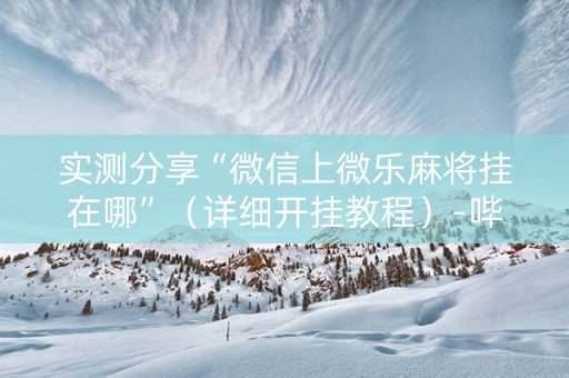 实测分享“微信上微乐麻将挂在哪”（详细开挂教程）-哔哩哔哩