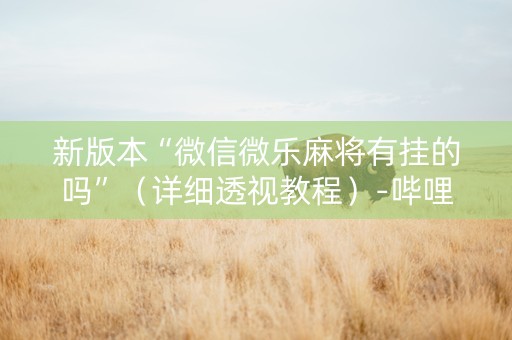 新版本“微信微乐麻将有挂的吗”（详细透视教程）-哔哩哔哩