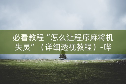 必看教程“怎么让程序麻将机失灵”（详细透视教程）-哔哩哔哩