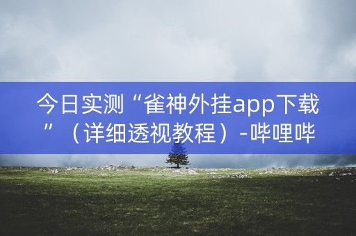今日实测“雀神外挂app下载”（详细透视教程）-哔哩哔哩