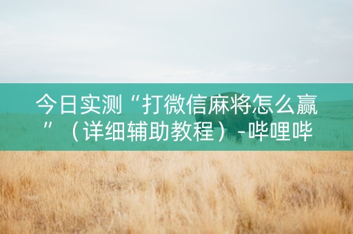 今日实测“打微信麻将怎么赢”（详细辅助教程）-哔哩哔哩