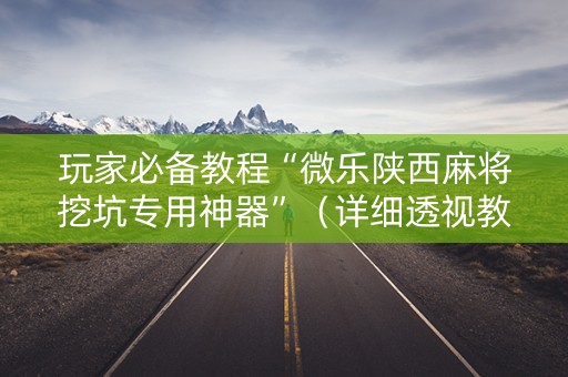 玩家必备教程“微乐陕西麻将挖坑专用神器”（详细透视教程）-哔哩哔哩