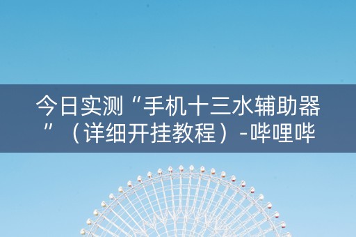 今日实测“手机十三水辅助器”（详细开挂教程）-哔哩哔哩