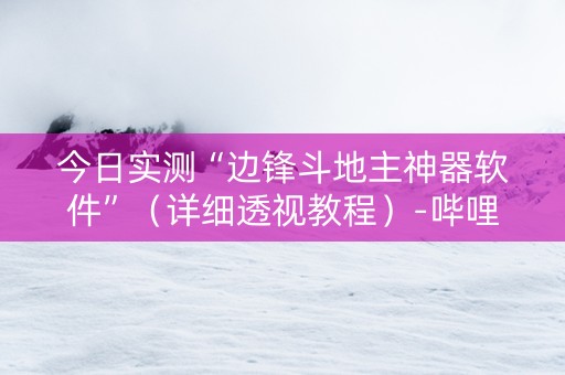 今日实测“边锋斗地主神器软件”（详细透视教程）-哔哩哔哩