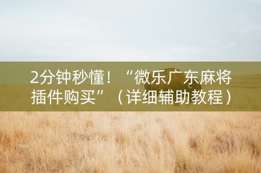 2分钟秒懂！“微乐广东麻将插件购买”（详细辅助教程）-哔哩哔哩