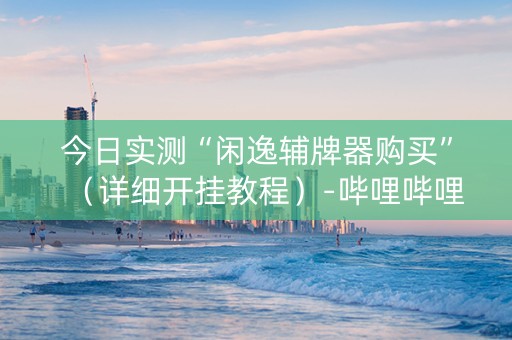 今日实测“闲逸辅牌器购买”（详细开挂教程）-哔哩哔哩