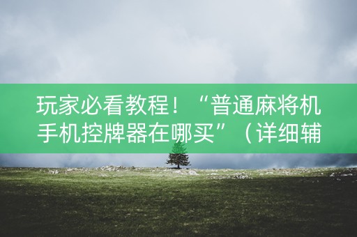 玩家必看教程！“普通麻将机手机控牌器在哪买”（详细辅助教程）-哔哩哔哩