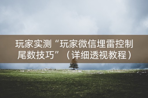玩家实测“玩家微信埋雷控制尾数技巧”（详细透视教程）-哔哩哔哩