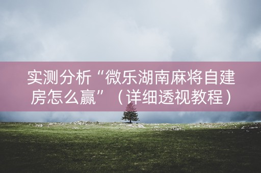 实测分析“微乐湖南麻将自建房怎么赢”（详细透视教程）-哔哩哔哩