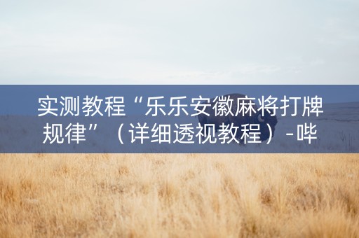 实测教程“乐乐安徽麻将打牌规律”（详细透视教程）-哔哩哔哩