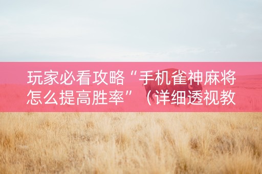 玩家必看攻略“手机雀神麻将怎么提高胜率”（详细透视教程）-哔哩哔哩