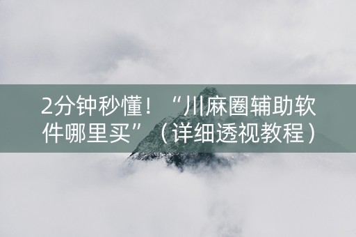 2分钟秒懂！“川麻圈辅助软件哪里买”（详细透视教程）-哔哩哔哩