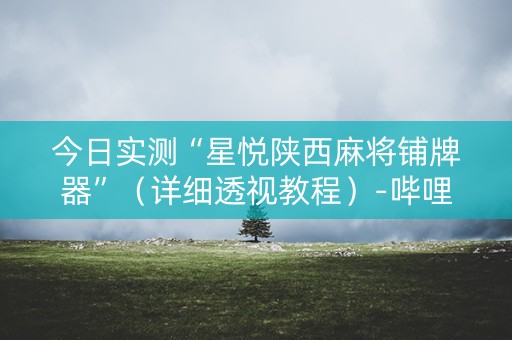 今日实测“星悦陕西麻将铺牌器”（详细透视教程）-哔哩哔哩