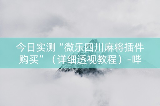 今日实测“微乐四川麻将插件购买”（详细透视教程）-哔哩哔哩