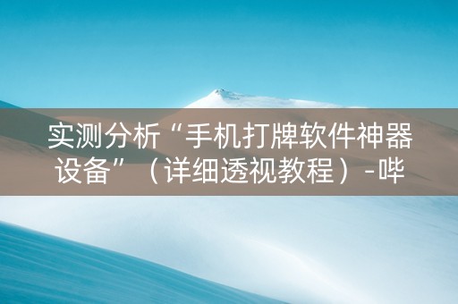 实测分析“手机打牌软件神器设备”（详细透视教程）-哔哩哔哩