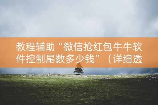 教程辅助“微信抢红包牛牛软件控制尾数多少钱”（详细透视教程）-哔哩哔哩