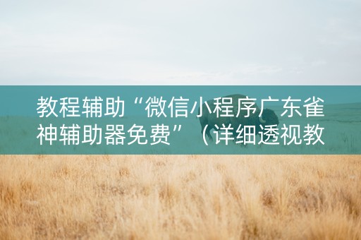 教程辅助“微信小程序广东雀神辅助器免费”（详细透视教程）-哔哩哔哩