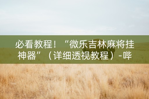 必看教程！“微乐吉林麻将挂神器”（详细透视教程）-哔哩哔哩