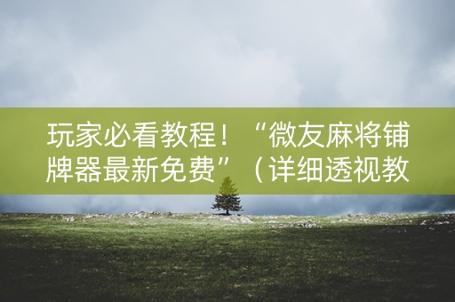 玩家必看教程！“微友麻将铺牌器最新免费”（详细透视教程）-哔哩哔哩