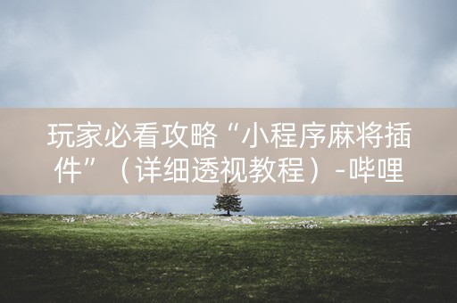 玩家必看攻略“小程序麻将插件”（详细透视教程）-哔哩哔哩