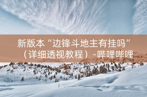 新版本“边锋斗地主有挂吗”（详细透视教程）-哔哩哔哩
