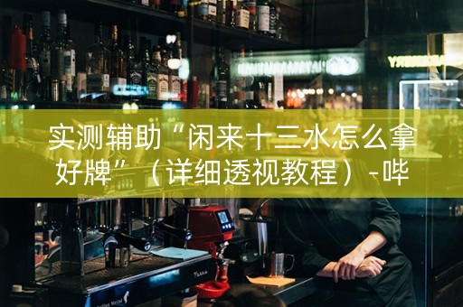实测辅助“闲来十三水怎么拿好牌”（详细透视教程）-哔哩哔哩