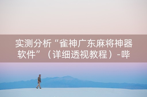 实测分析“雀神广东麻将神器软件”（详细透视教程）-哔哩哔哩