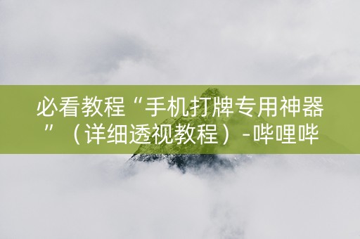 必看教程“手机打牌专用神器”（详细透视教程）-哔哩哔哩