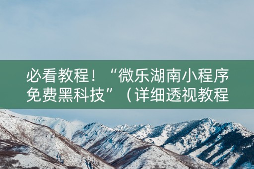 必看教程！“微乐湖南小程序免费黑科技”（详细透视教程）-哔哩哔哩