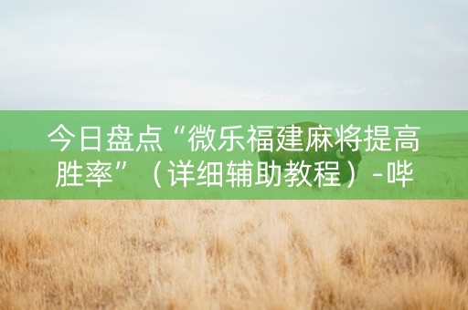 今日盘点“微乐福建麻将提高胜率”（详细辅助教程）-哔哩哔哩