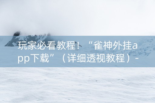 玩家必看教程！“雀神外挂app下载”（详细透视教程）-哔哩哔哩