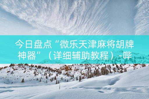 今日盘点“微乐天津麻将胡牌神器”（详细辅助教程）-哔哩哔哩