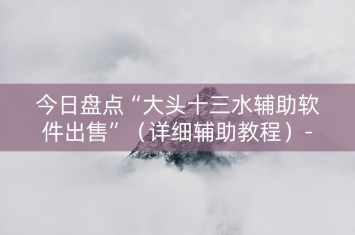 今日盘点“大头十三水辅助软件出售”（详细辅助教程）-哔哩哔哩