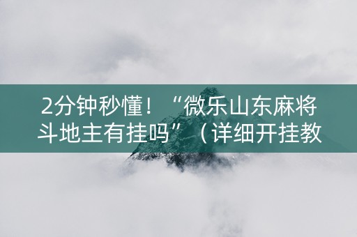 2分钟秒懂！“微乐山东麻将斗地主有挂吗”（详细开挂教程）-哔哩哔哩