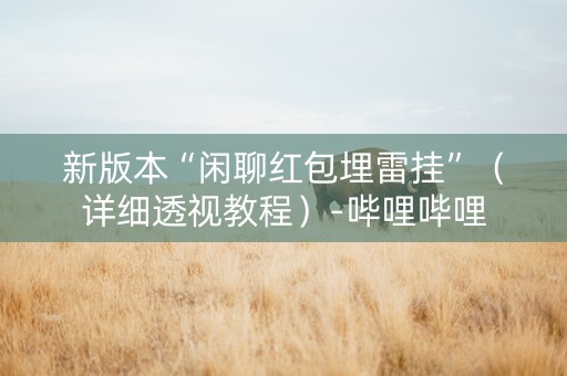 新版本“闲聊红包埋雷挂”（详细透视教程）-哔哩哔哩