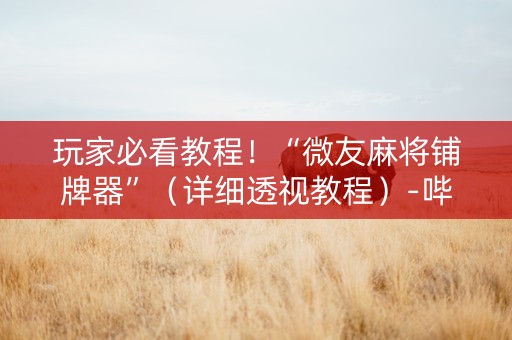 玩家必看教程！“微友麻将铺牌器”（详细透视教程）-哔哩哔哩