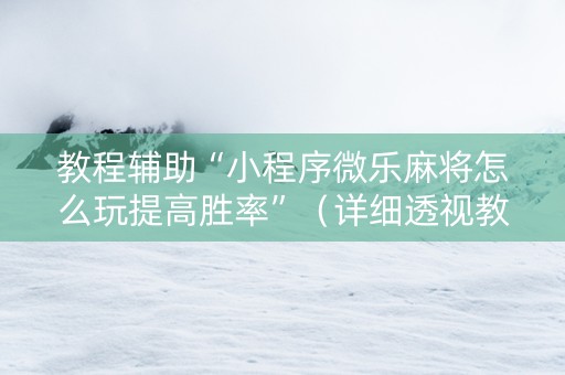 教程辅助“小程序微乐麻将怎么玩提高胜率”（详细透视教程）-哔哩哔哩