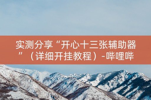 实测分享“开心十三张辅助器”（详细开挂教程）-哔哩哔哩