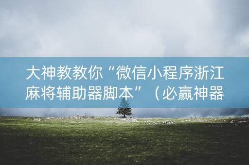 大神教教你“微信小程序浙江麻将辅助器脚本”（必赢神器)