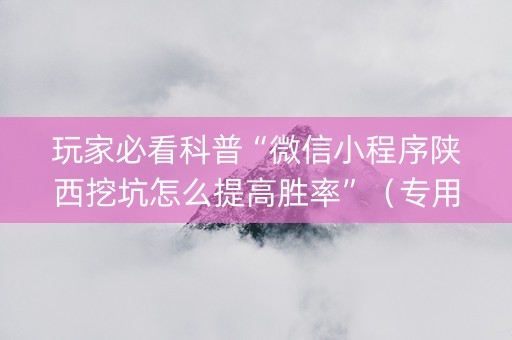 玩家必看科普“微信小程序陕西挖坑怎么提高胜率”（专用神器下载)