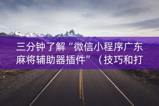 三分钟了解“微信小程序广东麻将辅助器插件”（技巧和打好牌方法)