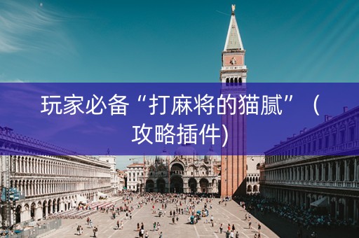玩家必备“打麻将的猫腻”（攻略插件)