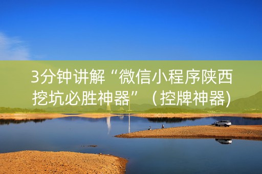 3分钟讲解“微信小程序陕西挖坑必胜神器”（控牌神器)
